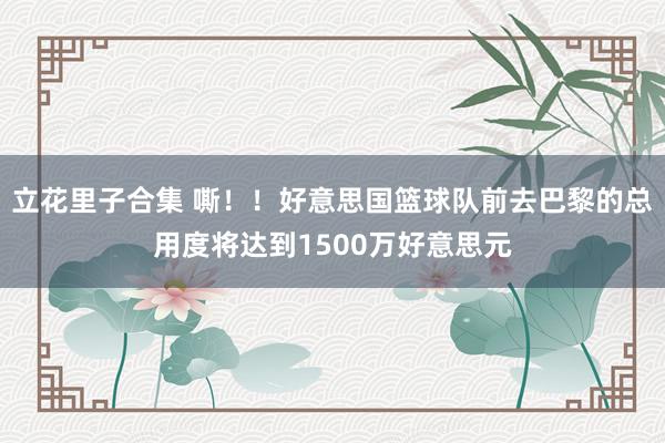 立花里子合集 嘶！！好意思国篮球队前去巴黎的总用度将达到1500万好意思元