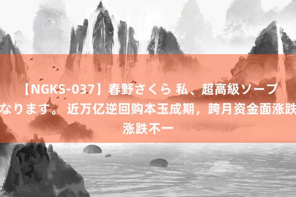 【NGKS-037】春野さくら 私、超高級ソープ嬢になります。 近万亿逆回购本玉成期，跨月资金面涨跌不一