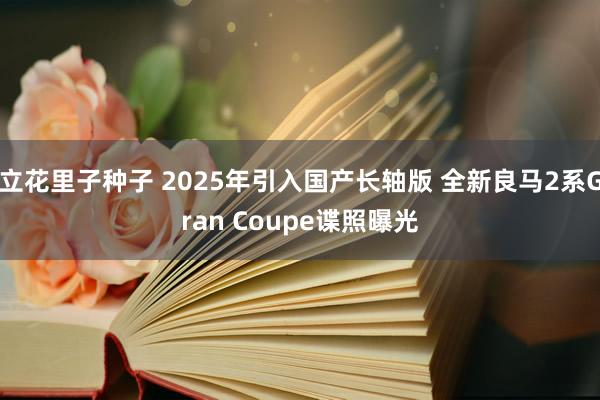 立花里子种子 2025年引入国产长轴版 全新良马2系Gran Coupe谍照曝光