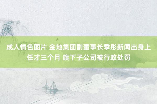 成人情色图片 金地集团副董事长季彤新闻出身上任才三个月 旗下子公司被行政处罚