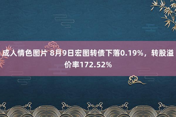 成人情色图片 8月9日宏图转债下落0.19%，转股溢价率172.52%