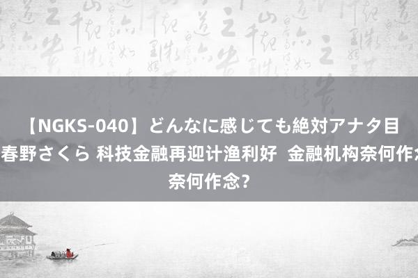 【NGKS-040】どんなに感じても絶対アナタ目線 春野さくら 科技金融再迎计渔利好  金融机构奈何作念？