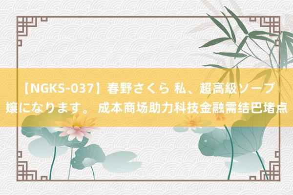 【NGKS-037】春野さくら 私、超高級ソープ嬢になります。 成本商场助力科技金融需结巴堵点