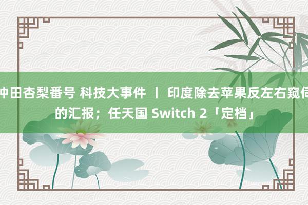 冲田杏梨番号 科技大事件 丨 印度除去苹果反左右窥伺的汇报；任天国 Switch 2「定档」