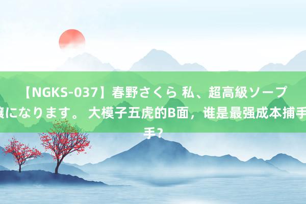 【NGKS-037】春野さくら 私、超高級ソープ嬢になります。 大模子五虎的B面，谁是最强成本捕手？