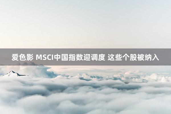 爱色影 MSCI中国指数迎调度 这些个股被纳入