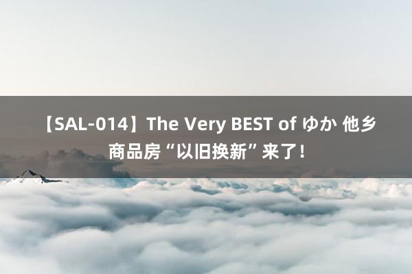 【SAL-014】The Very BEST of ゆか 他乡商品房“以旧换新”来了！