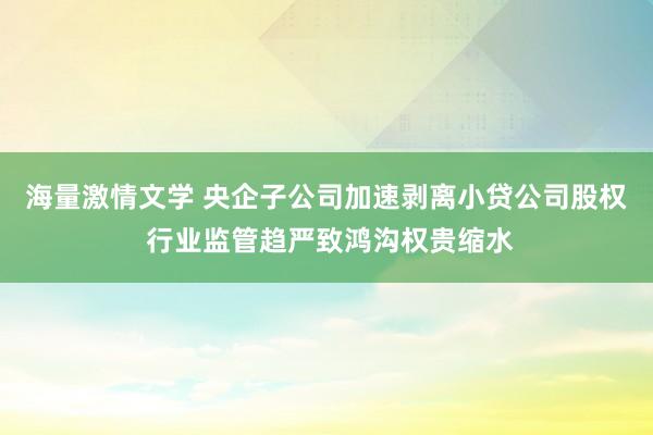 海量激情文学 央企子公司加速剥离小贷公司股权 行业监管趋严致鸿沟权贵缩水