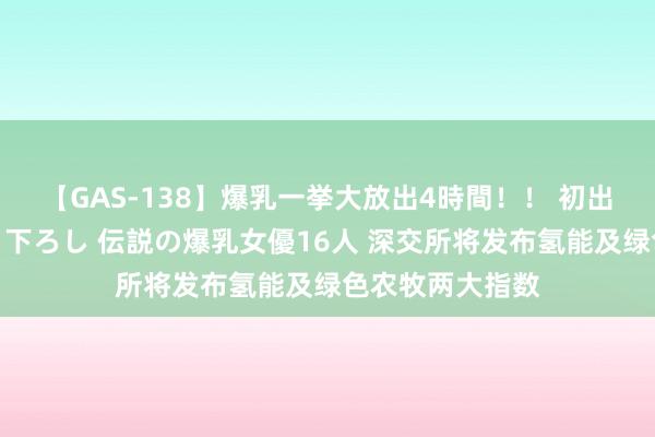 【GAS-138】爆乳一挙大放出4時間！！ 初出し！すべて撮り下ろし 伝説の爆乳女優16人 深交所将发布氢能及绿色农牧两大指数