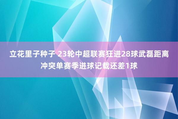 立花里子种子 23轮中超联赛狂进28球武磊距离冲突单赛季进球记载还差1球