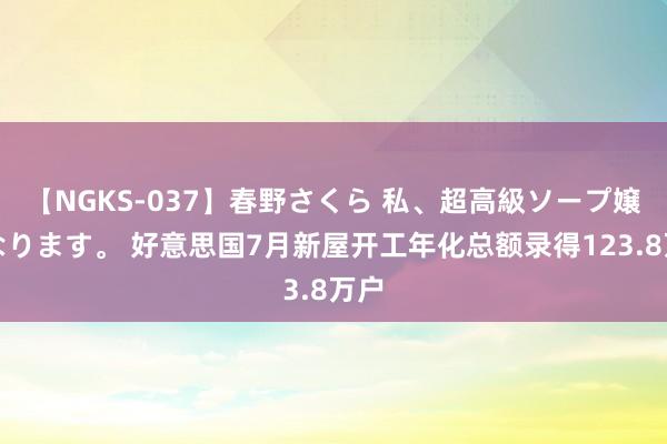 【NGKS-037】春野さくら 私、超高級ソープ嬢になります。 好意思国7月新屋开工年化总额录得123.8万户