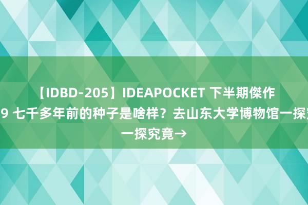 【IDBD-205】IDEAPOCKET 下半期傑作集2009 七千多年前的种子是啥样？去山东大学博物馆一探究竟→