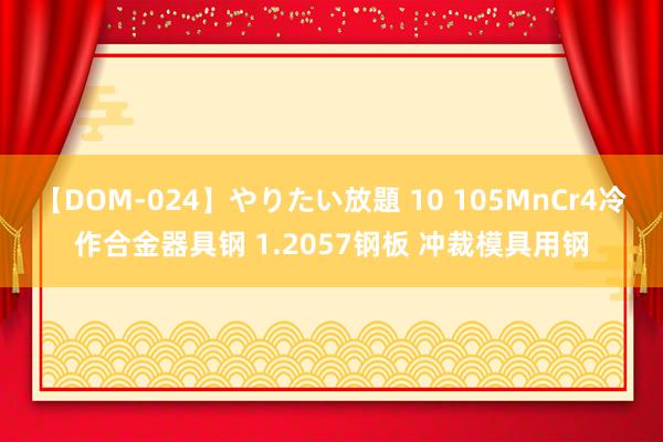 【DOM-024】やりたい放題 10 105MnCr4冷作合金器具钢 1.2057钢板 冲裁模具用钢