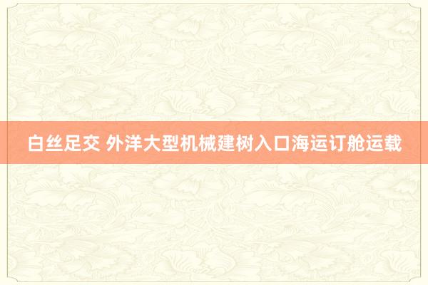 白丝足交 外洋大型机械建树入口海运订舱运载