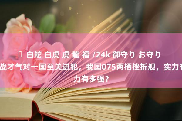 ✨白蛇 白虎 虎 龍 福 /24k 御守り お守り 两栖作战才气对一国至关进犯，我国075两栖挫折舰，实力有多强？