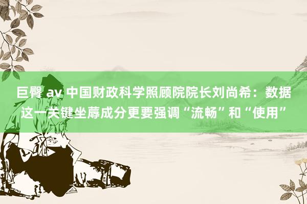 巨臀 av 中国财政科学照顾院院长刘尚希：数据这一关键坐蓐成分更要强调“流畅”和“使用”