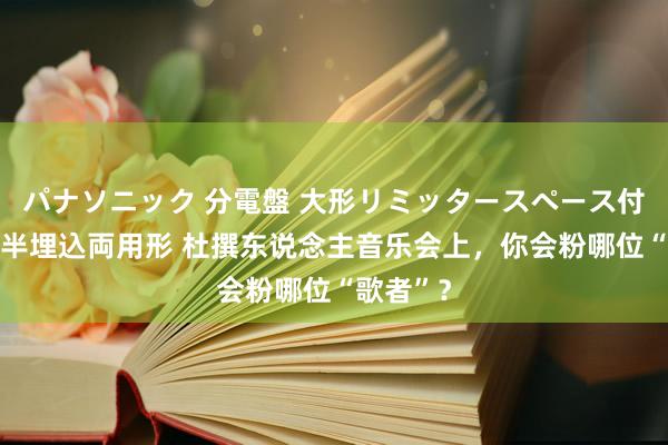 パナソニック 分電盤 大形リミッタースペース付 露出・半埋込両用形 杜撰东说念主音乐会上，你会粉哪位“歌者”？