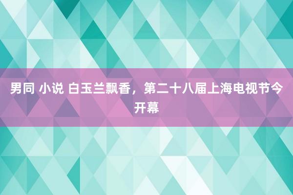 男同 小说 白玉兰飘香，第二十八届上海电视节今开幕