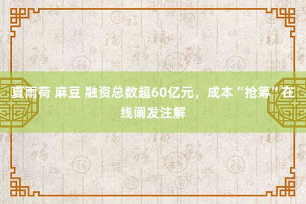 夏雨荷 麻豆 融资总数超60亿元，成本“抢筹”在线阐发注解