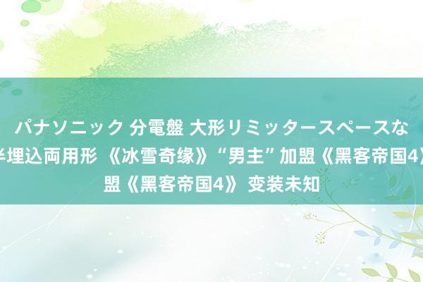 パナソニック 分電盤 大形リミッタースペースなし 露出・半埋込両用形 《冰雪奇缘》“男主”加盟《黑客帝国4》 变装未知