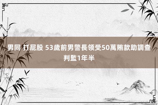 男同 打屁股 53歲前男警長领受50萬賄款助調查判監1年半