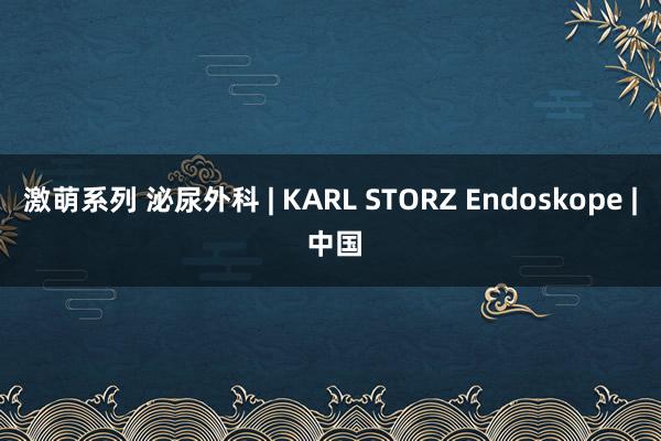 激萌系列 泌尿外科 | KARL STORZ Endoskope | 中国